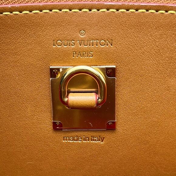 Louis Vuitton Catogram City Steamer bag MM cat tote Grace Coddington Rare L V - Picture 13 of 14